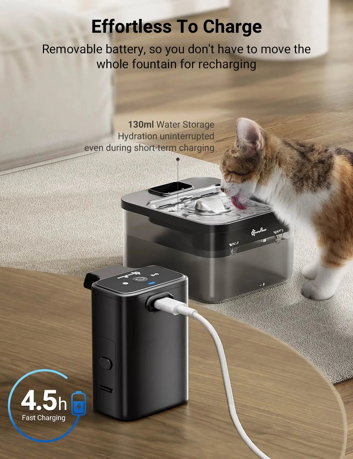 🐾 Fontaine à Eau Automatique en Acier Inoxydable 2.5L – Hydratation Saine & Sans Fils ! 🐱💦