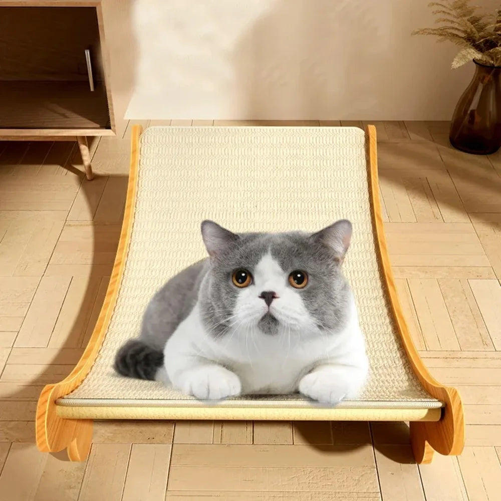 đŸ Griffoir & Lit de Repos pour Chat â RĂ©sistant, Confortable & Multifonction ! đ±
