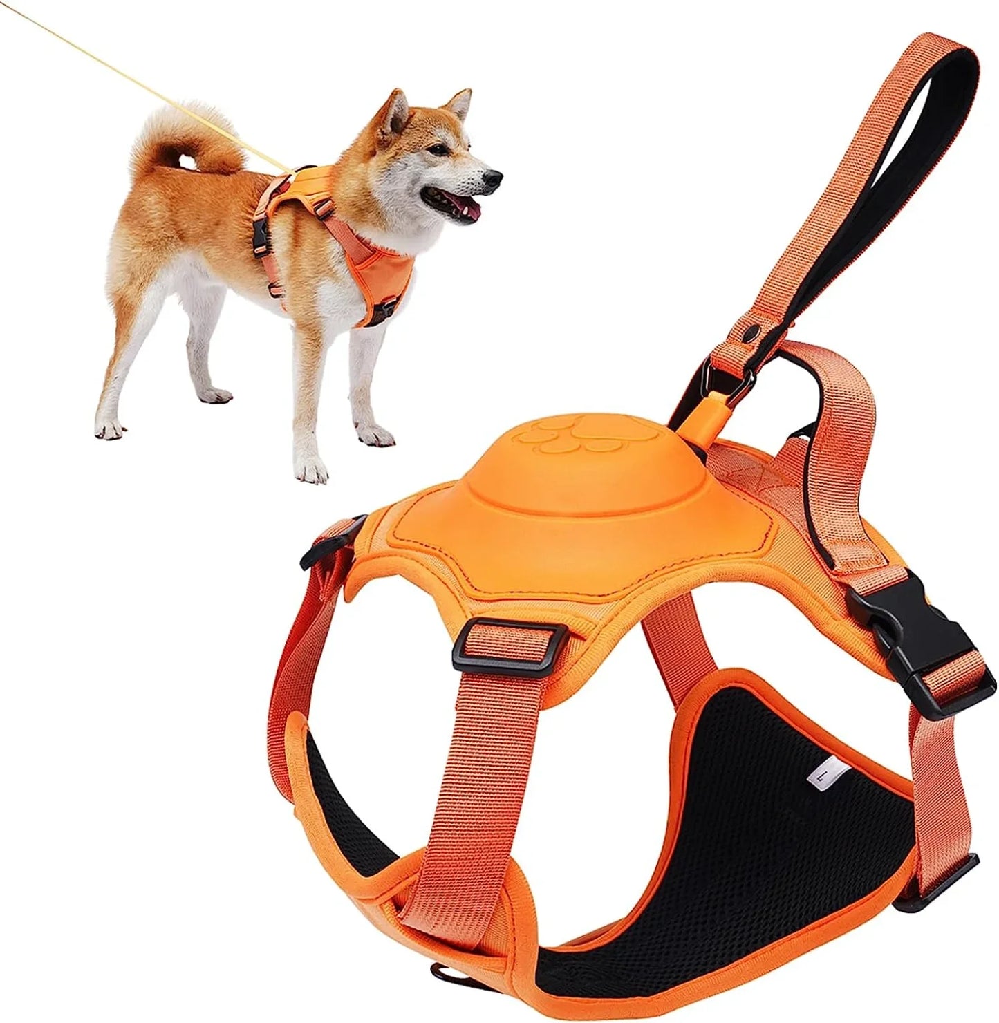 Harnais et Laisse 2-en-1 avec Verrouillage Automatique - Confort et Sécurité pour Toutes les Races de Chiens