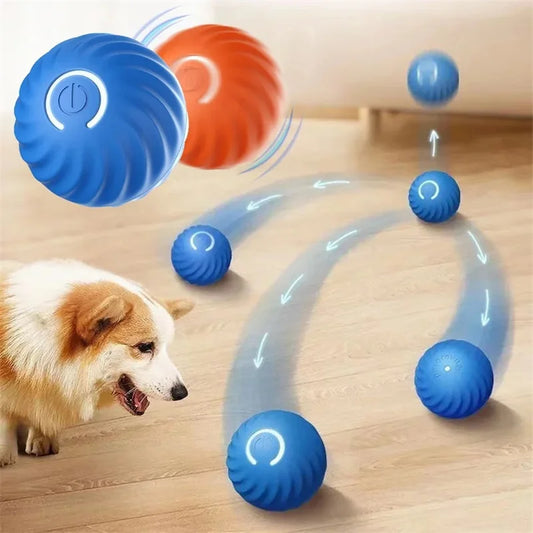La Wonderball : L’Astuce Magique Pour Un Animal Actif et Une Maison Intacte !