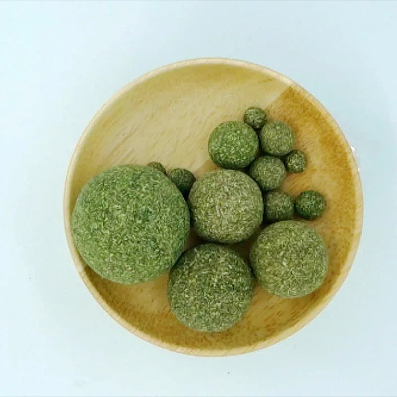 🐾 Boule d’Herbe à Chat Comestible – Amusement, Bien-être & Hygiène Dentaire ! 🐱🌿